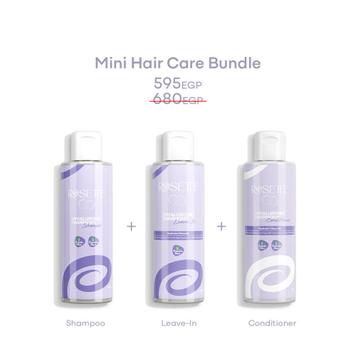 Mini Hair Care Bundle