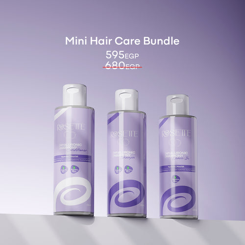 Mini Hair Care Bundle